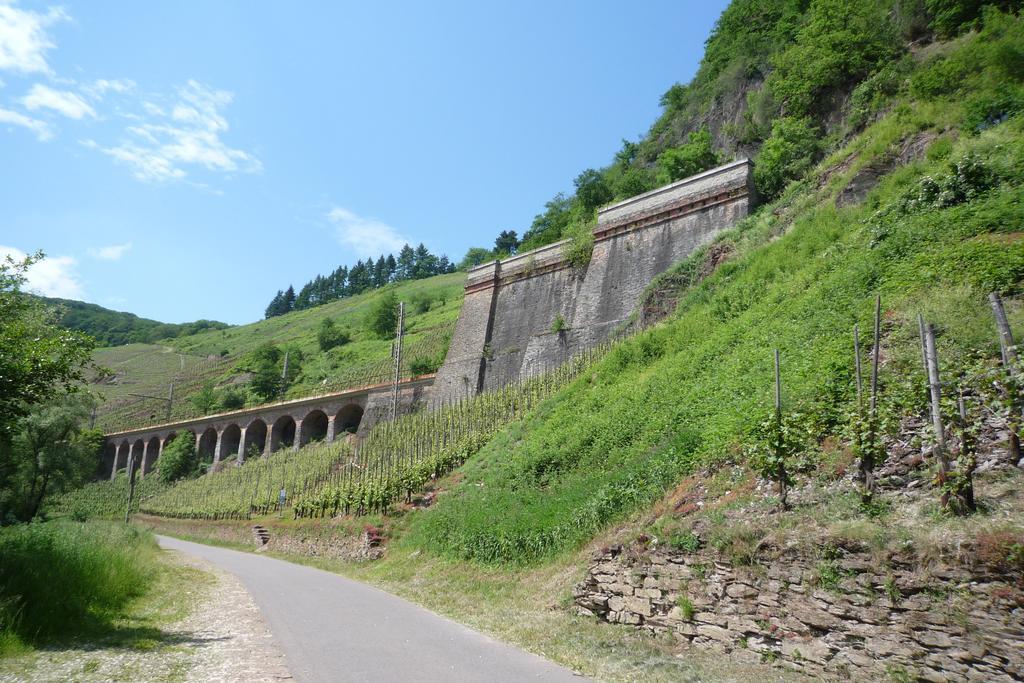 Weingut & Gaestehaus Mees Apartment Briedel Luaran gambar