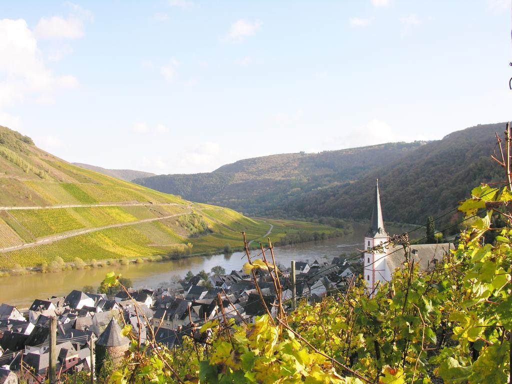Weingut & Gaestehaus Mees Apartment Briedel Luaran gambar