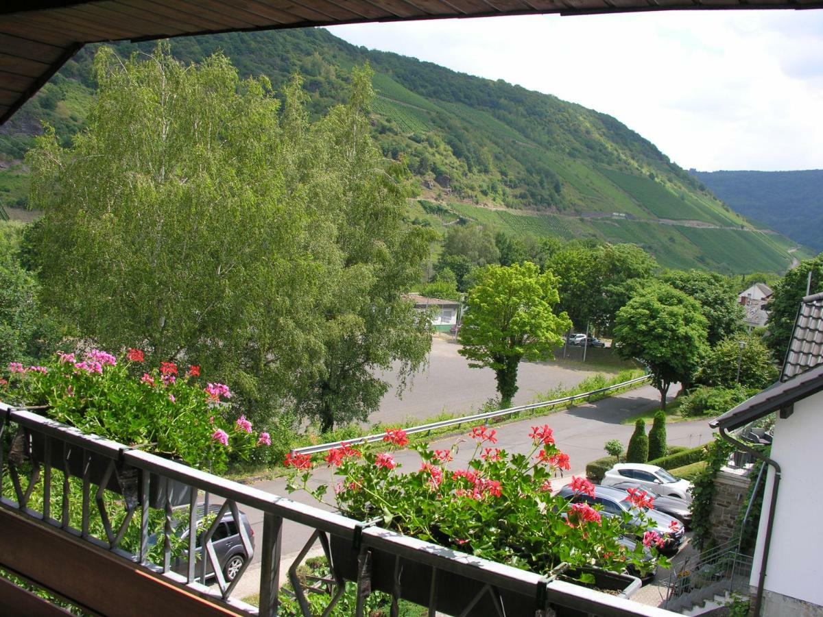 Weingut & Gaestehaus Mees Apartment Briedel Luaran gambar